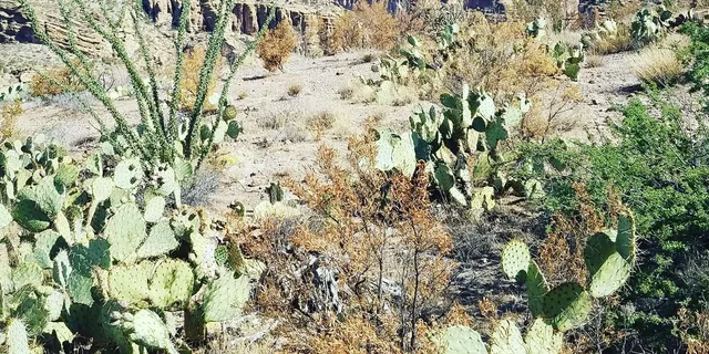 Phoenix Apache Trail Day Tour - Image 5