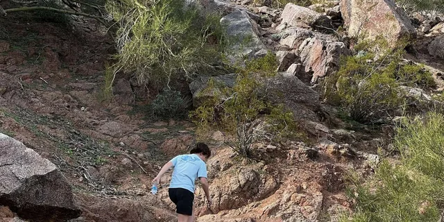 Phoenix Family Guided Hike - Image 6
