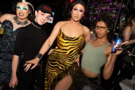 Los Angeles Drag Bar Crawl and Show thumbnail 6