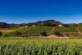 San Francisco Sonoma Napa Valley Chauffeur Transfer