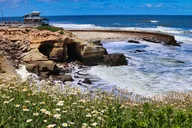 San Diego Coastal Driving Tour thumbnail 4