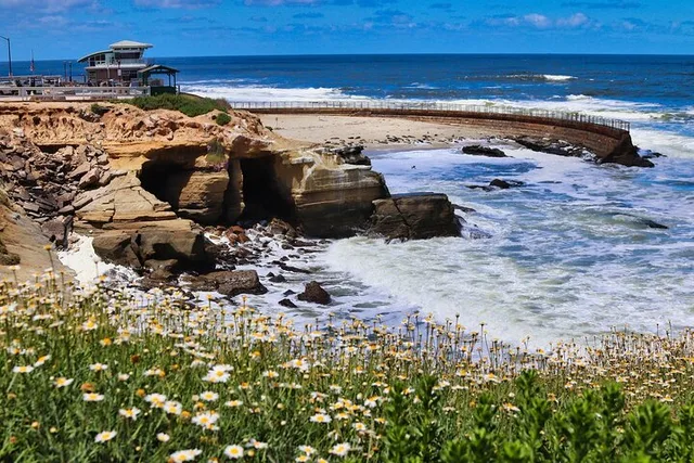 San Diego Coastal Driving Tour - Image 4