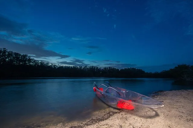 Titusville Bioluminescent Clear Kayak Tour 90 Min - Image 4