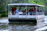 New Orleans Swamp Tour on Pontoon Boat thumbnail 1