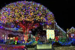 Smoky Mountain Holiday Light Tour