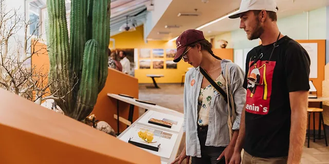 San Diego Natural History Museum Night Entry - Image 5