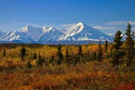 Denali National Park to Fairbanks Transport thumbnail 2