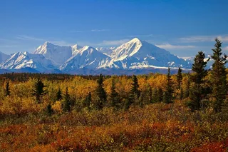 Fairbanks to Denali National Park Private Transportation