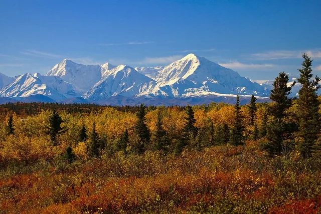 Denali National Park to Fairbanks Transport - Image 2