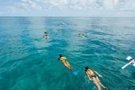 Key West Snorkel Adventure with Seafood Boil and Open Bar thumbnail 6