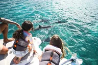 Ko Olina Wildlife Snorkel Charter thumbnail 5