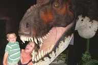 Branson Dinosaur Museum Admission thumbnail 5