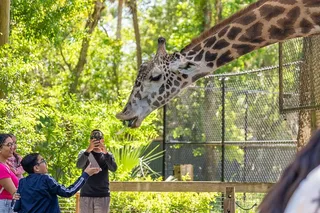 Sanford Zoo and Botanical Gardens Admission