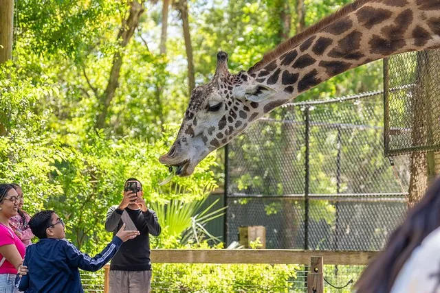 Sanford Zoo and Botanical Gardens Admission - Image 1