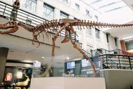 Buffalo Museum of Science Admission Ticket thumbnail 1