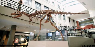 Buffalo Museum of Science Admission Ticket
