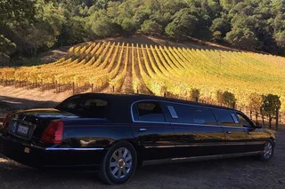Napa Wine Tasting Tour with Route Planning 6 hr