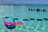 George Town Stingray City and Starfish Snorkeling Tour thumbnail 5