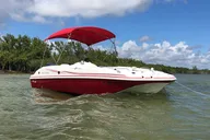 Key Largo Dolphin Tour 60 Min thumbnail 6