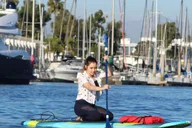 Marina Del Rey Kayak and Paddleboard Tour with Sea Lions 2 hr thumbnail 4