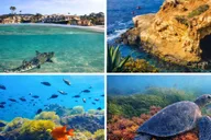 La Jolla Snorkel Gear Rental Full-Day thumbnail 1