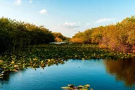 Everglades National Park Self-Guided Audio Tour thumbnail 4