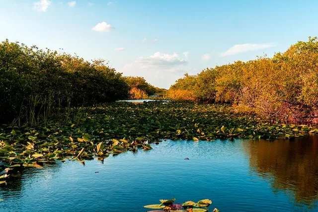 Everglades National Park Self-Guided Audio Tour - Image 4