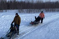 Fairbanks Dog Sledding Adventure thumbnail 3