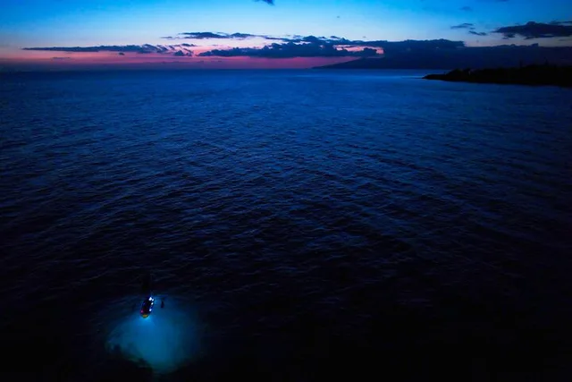 Olowalu Clear Kayak Tour at Sunset - Image 4