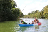 Austin Kayak Tour on Lady Bird Lake thumbnail 5
