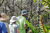 Naples 10,000 Islands Boat Tour & Everglades Walk thumbnail 5