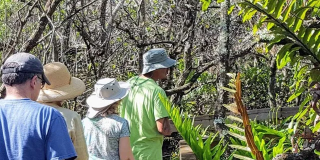 Naples 10,000 Islands Boat Tour & Everglades Walk - Image 5