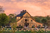Washington DC Wine Tour to Loudoun County Vineyards thumbnail 3