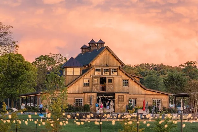Washington DC Wine Tour to Loudoun County Vineyards - Image 3