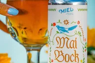 New Orleans Craft Brewery Walking Tour thumbnail 4