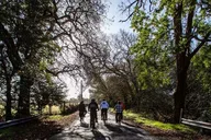 Napa Valley Bike Tour with Wine Stops 4 hr thumbnail 5