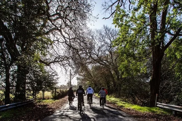 Napa Valley Bike Tour with Wine Stops 4 hr - Image 5