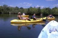 Indian River Tandem Kayak Rental with Wildlife Sightings thumbnail 1
