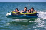 Marco Island Dolphin Watching and Tubing Adventure thumbnail 1