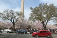 Washington DC Sightseeing Tour Day & Night 7 hr thumbnail 4