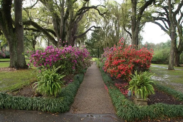 New Orleans Haunted Myrtles Plantation Tour - Image 4