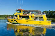 Orange Beach Dolphin and Sunset Cruise thumbnail 2