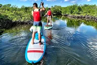 Fort Lauderdale Mangrove SUP Safari 2 hr thumbnail 5