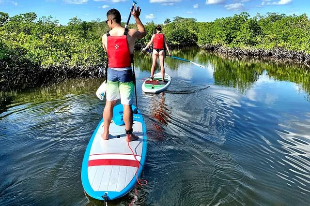Fort Lauderdale Mangrove SUP Safari 2 hr - Image 5