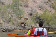 Las Vegas Emerald Cave Kayak Tour 4 hr thumbnail 4