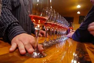 San Francisco Napa and Sonoma Wine Tour Full-Day thumbnail 3