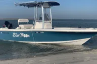 Folly Beach Dolphin and Morris Island Cruise 2 hr thumbnail 4