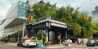 New York City High Line Park Walking Tour