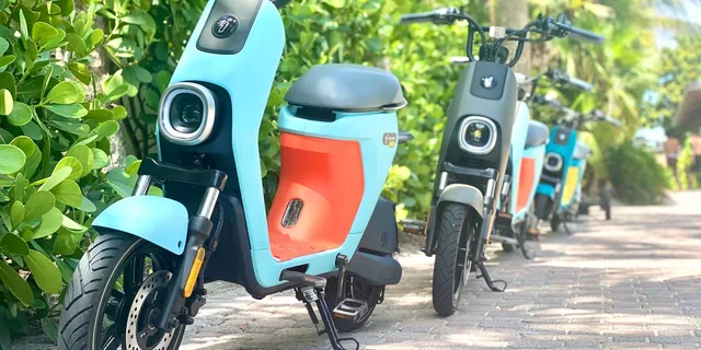 Naples Electric Moped Tour - Image 4