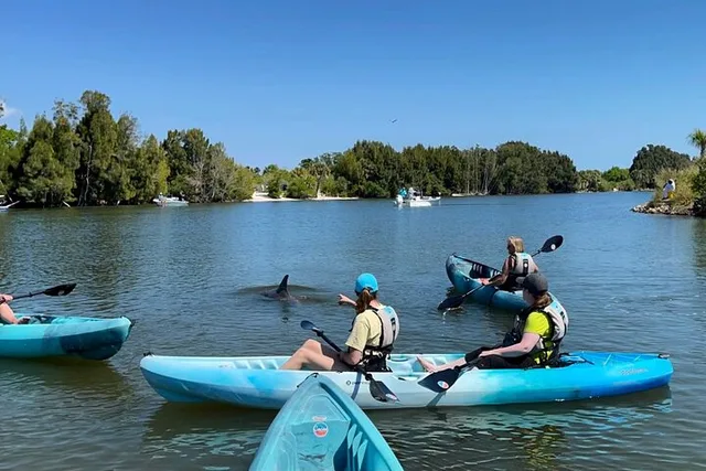 Florida Dolphin and Manatee Kayak Tour at Sunset 2 hr - Image 2